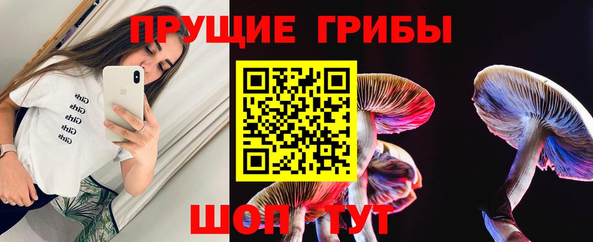Аша  Псилоцибиновые грибы MAGIC MUSHROOMS  как найти закладки  Вход с VPN  Псилоцибиновые грибы Psilocybine cubensis 